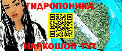 мяу мяу мука Бийск