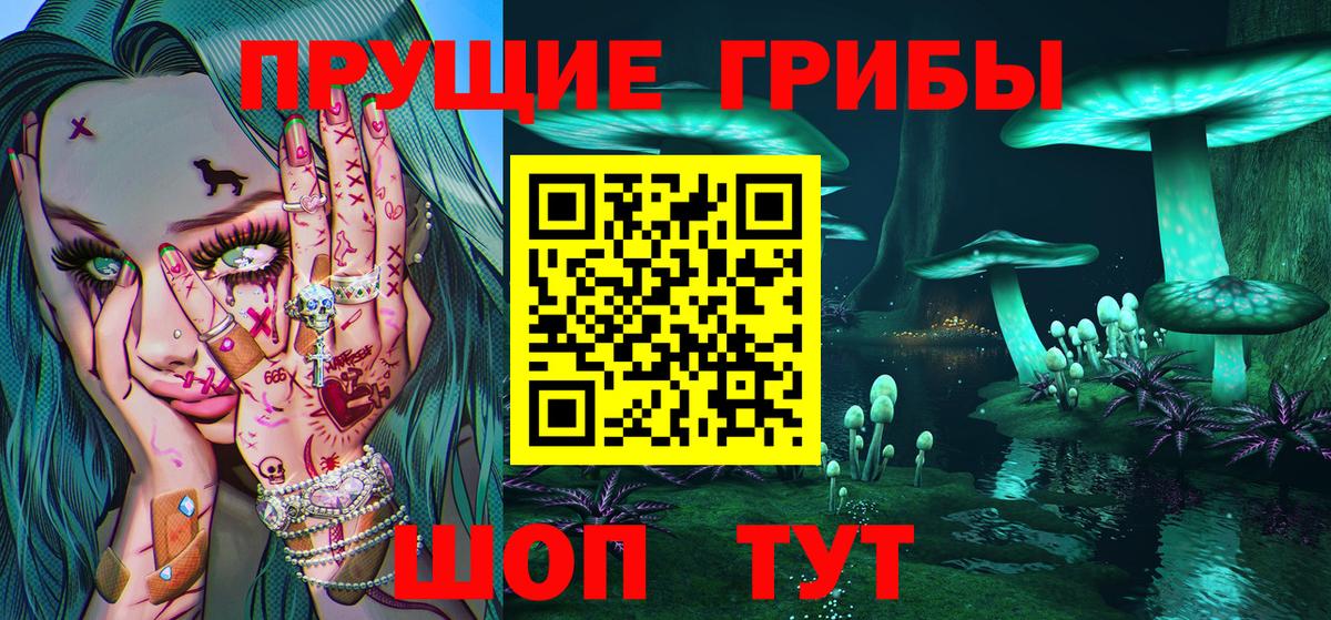купить наркотик  Псилоцибиновые грибы MAGIC MUSHROOMS  Вход с VPN  Иваново 