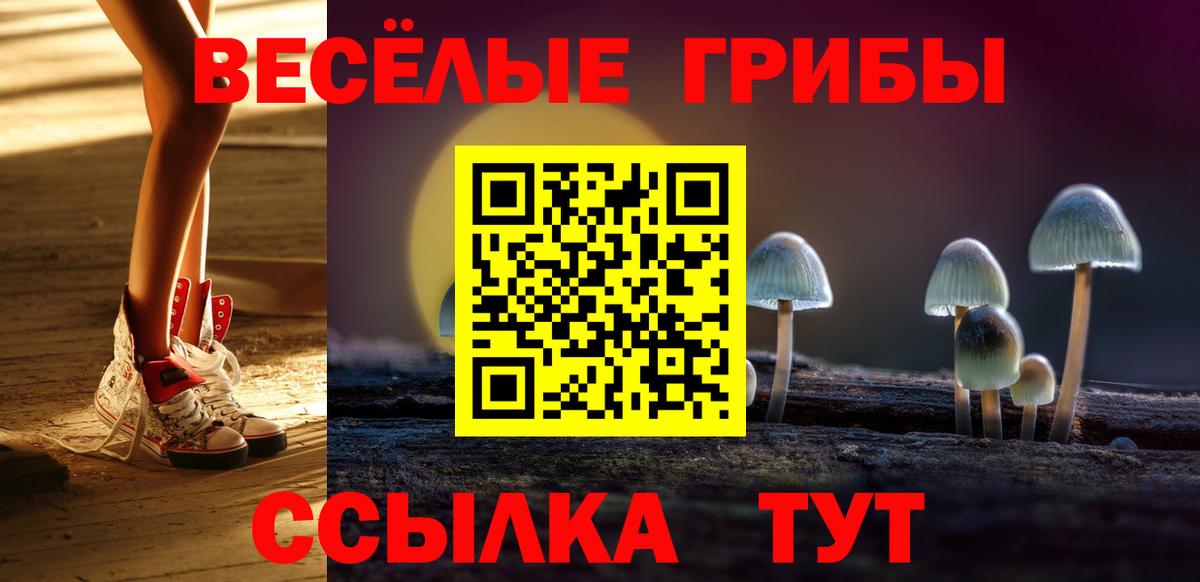 Псилоцибиновые грибы Psilocybine cubensis Иваново